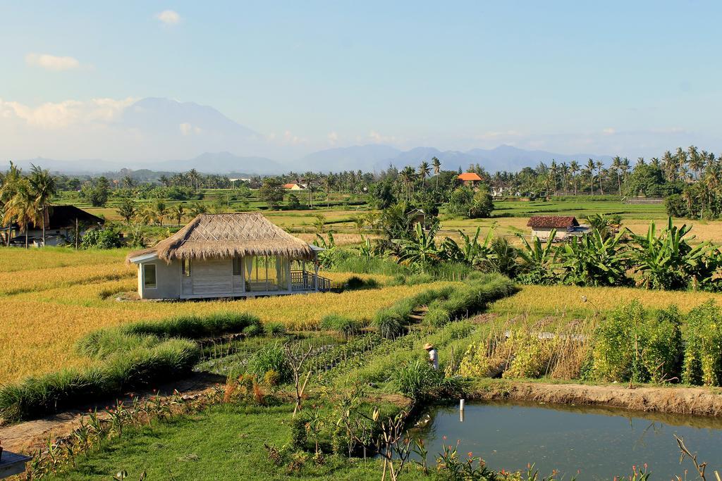 Barn N Bunk Hotel กีอันยาร์ ภายนอก รูปภาพ