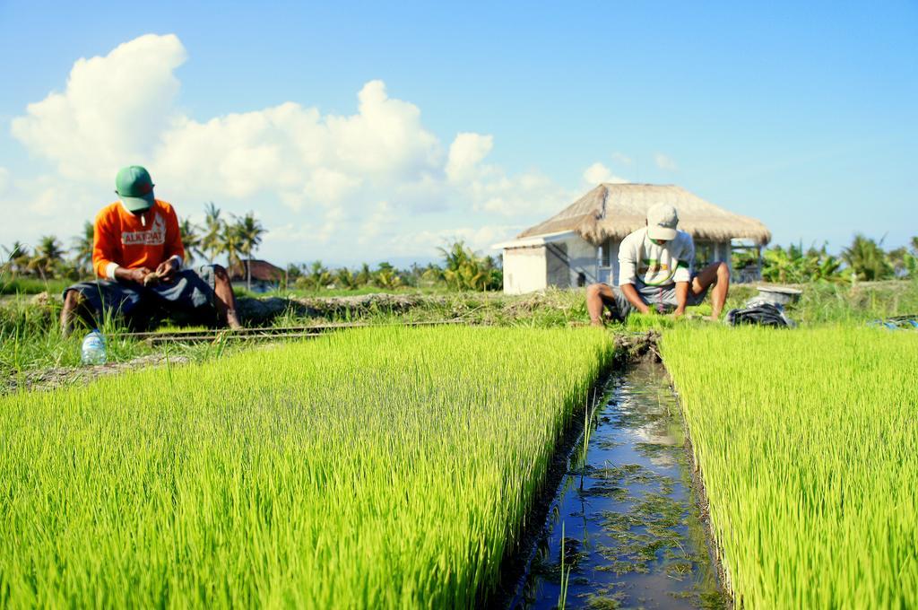 Barn N Bunk Hotel กีอันยาร์ ภายนอก รูปภาพ