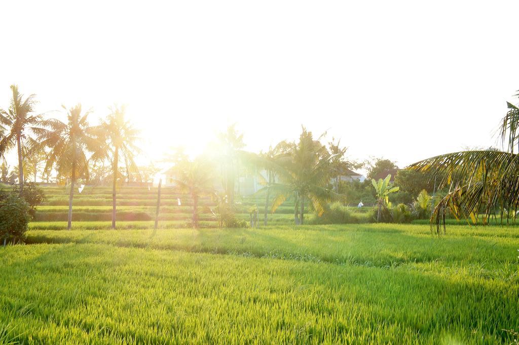 Barn N Bunk Hotel กีอันยาร์ ภายนอก รูปภาพ