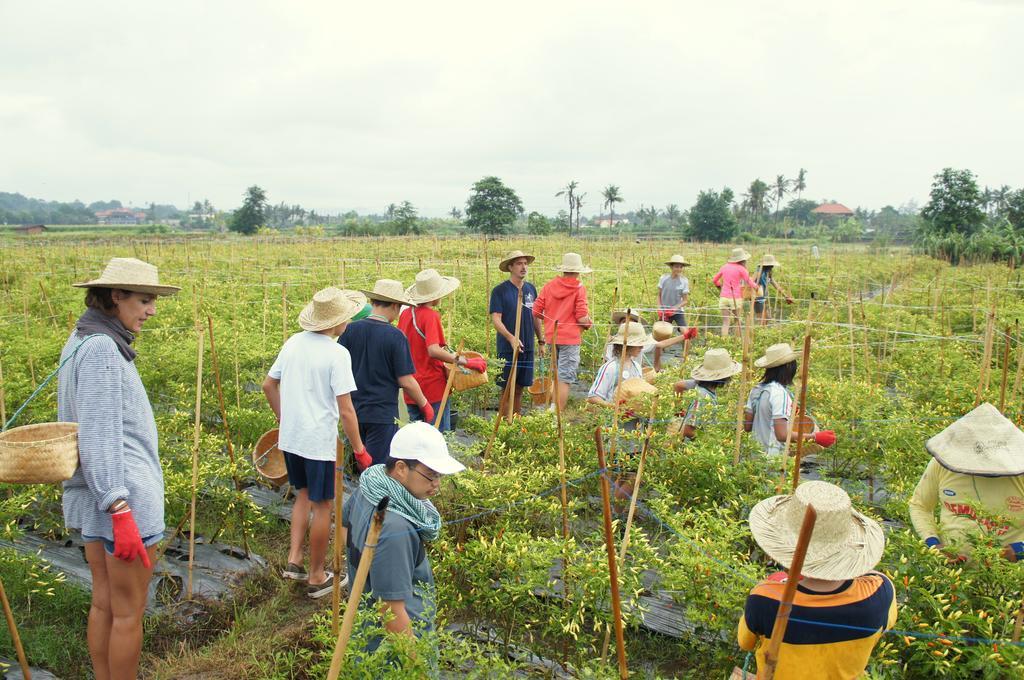 Barn N Bunk Hotel กีอันยาร์ ภายนอก รูปภาพ